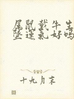 属鼠戴牛生肖吊坠运气好吗