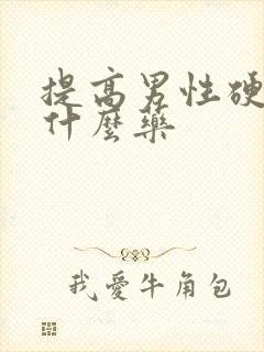 提高男性硬度吃什么药