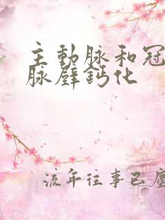 主动脉和冠状动脉壁钙化