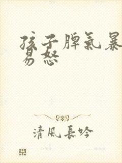 孩子脾气暴躁的易怒