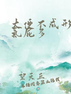 大便不成形肠胀气屁多