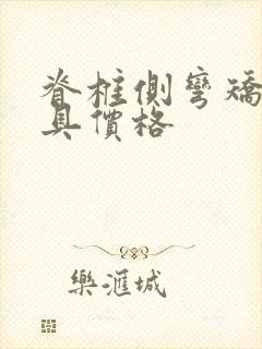 脊椎侧弯矫正支具价格