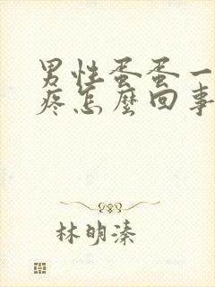 男性蛋蛋一碰就疼怎么回事