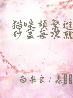 猫咪频繁进入猫砂盆每次就尿一点点