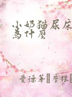 小奶猫尿床上是为什么