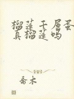 榴莲千层蛋糕是真榴莲吗