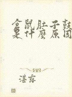 仓鼠肚子鼓鼓的是什么原因