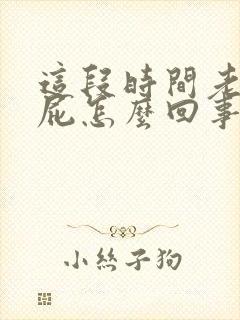 这段时间老是放屁怎么回事