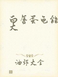 白唇蛋龟能长多大