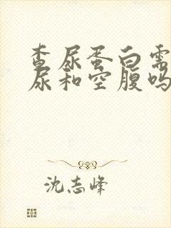 查尿蛋白需要晨尿和空腹吗