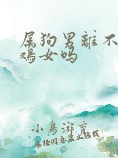 属狗男离不开属鸡女吗