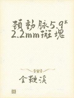 颈动脉5.9*2.2mm斑块