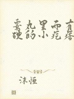 睾丸里面有个硬硬的小疙瘩挂什么科