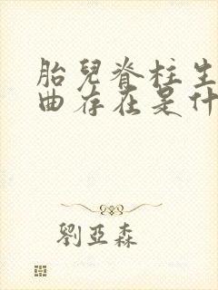 胎儿脊柱生理弯曲存在是什么意思