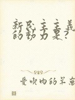 新民主主义革命的动力是?