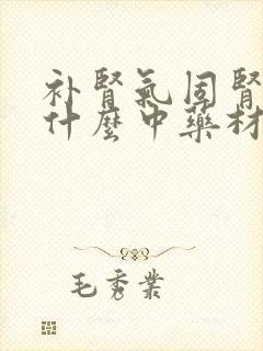 补肾气固肾精吃什么中药材