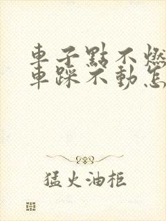 车子点不燃火刹车踩不动怎么回事