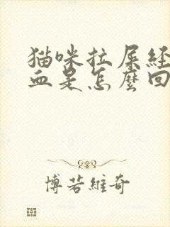 猫咪拉屎经常带血是怎么回事