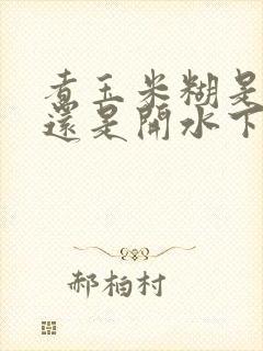 煮玉米糊是冷水还是开水下锅