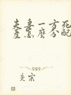 夫妻一方死后遗产怎么分配