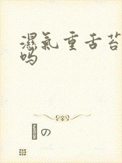 湿气重舌苔会厚吗