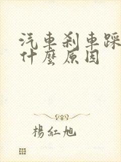 汽车刹车踩不动什么原因