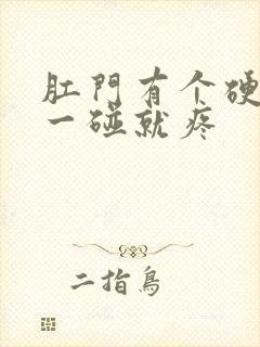 肛门有个硬疙瘩一碰就疼