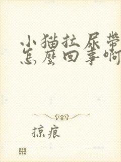 小猫拉尿带血是怎么回事啊