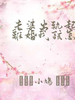 老婆出轨起诉我离婚我该怎么办