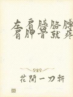 左肩膀胳膊一抬肩胛骨就疼