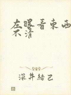 左眼看东西模糊不清