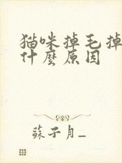 猫咪掉毛掉秃是什么原因