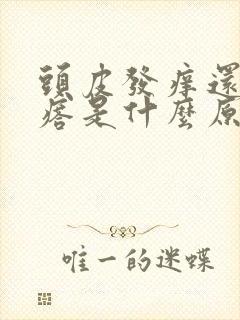 头皮发痒还有疙瘩是什么原因