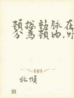 颈总动脉在哪里分为颈内,外动脉