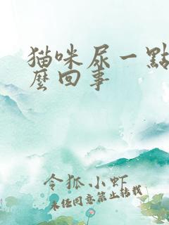 猫咪尿一点血怎么回事