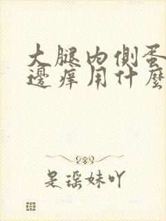 大腿内侧蛋蛋旁边痒用什么药膏