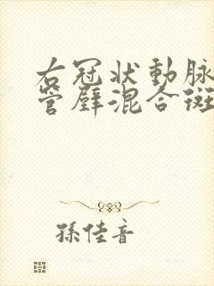 右冠状动脉近段管壁混合斑块