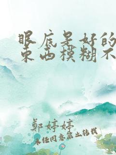 眼底是好的但看东西模糊不清