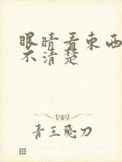 眼睛看东西模糊不清楚