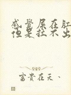 感觉屎在肛门口但是拉不出来怎么办