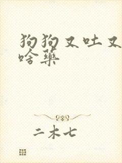 狗狗又吐又拉吃啥药