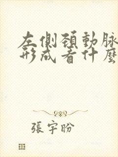 左侧颈动脉斑块形成看什么科