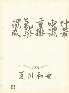 湿气重吃什么中成药排湿最有效果