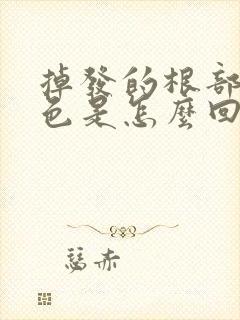 掉发的根部有白色是怎么回事