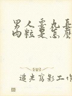 男人睾丸长一个肉粒是怎么回事