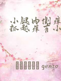 小腿内侧痒痒越抓越痒有小红疙瘩