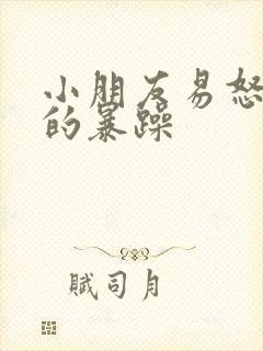 小朋友易怒脾气的暴躁