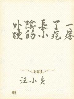 外阴长了一个硬硬的小疙瘩