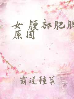 女 腹部肥胖的原因