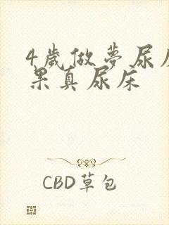 4岁做梦尿床结果真尿床